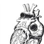 Nacnic Ensemble de 3 affiches d'anatomie en noir et blanc avec des images du corps humain. Pack de fiches sur la biologie avec C