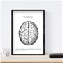 Nacnic Ensemble de 3 affiches d'anatomie en noir et blanc avec des images du corps humain. Pack de fiches sur la biologie avec C