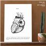 Nacnic Ensemble de 3 affiches d'anatomie en noir et blanc avec des images du corps humain. Pack de fiches sur la biologie avec C