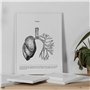 Nacnic Ensemble de 3 affiches d'anatomie en noir et blanc avec des images du corps humain. Pack de fiches sur la biologie avec C