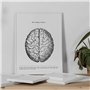Nacnic Ensemble de 3 affiches d'anatomie en noir et blanc avec des images du corps humain. Pack de fiches sur la biologie avec C