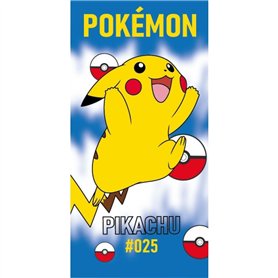 FACTORY CR 2023POK020