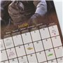 Grupo Erik - Calendrier Mural 2025 Le Seigneur des Anneaux | Calendrier Mensuel 30x60cm - De Janvier 2025 à Décembre 2025