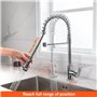 Mitigeur de Cuisine Professionnel avec 2 Modes d'Eau