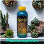 Madame Grow - Engrais de Croissance pour Plantes Vertes - KIT INDICA 3 X 1 L - Formule Concentrée