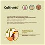 CULTIVERS Vinaigre alcoolique 10 L. 100% naturel. Éliminez les mauvaises herbes. Nettoyant pour système d'irrigation. Fongicide 