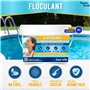 Puerto Verde • Floculant Naturel 25 Traitements. Clarifiant pour Les Petites Piscines et Les Spas. Éliminateur de Turbidité pour