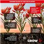 UP NUTRIENTS Bio Stimulant de Floraison BLOOM UP 250 ml - Engrais Récoltes, Fleurs et Têtes - NPK 2,75-3-4 - Stimulation de la P