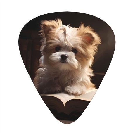 Smart Puppy Lot de 12 Onglets Pagaies de Guitare Électrique