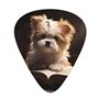 Smart Puppy Lot de 12 Onglets Pagaies de Guitare Électrique