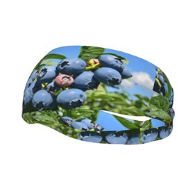 Bandeau de sport décoratif YYHWHJDE Blueberry Tree - Extensible