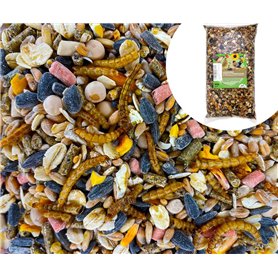 UGF - Nourriture pour oiseaux sauvages pour toute l'année - 800 g - Nourriture pour oiseaux sauvages avec graines de tournesol
