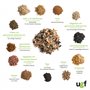 UGF - Nourriture pour oiseaux sauvages pour toute l'année - 800 g - Nourriture pour oiseaux sauvages avec graines de tournesol, 