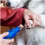 Dremel 7350 PET Outil rotatif sans fil 3,6 V Facile à utiliser, silencieux et léger avec 2 accessoires de ponçage, 1 capot de pr