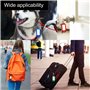 Porte Clés Coloré,50 Pack Plastique Principales Balises Rmeet Clair Porte-clés Étiquettes à Bagages pour Etiquette de Nom de Bur