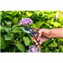 BLACK+DECKER Cisaille de Jardin - Ciseaux à Bois - Secateur de Jardin avec Lames en acier trempé - Branches d'un Diamètre de 13 