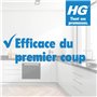 HG Dégivrant pour Congélateur Spray Dégivrant pour Congélateur & Réfrigérateur, 2x500 ml (539050104) - Lot de 2