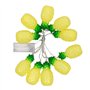 carnaval
