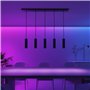 CALEX Suspension Intelligente - Smart GU10-5 Lumières - Noir Mat - Aluminium - Spots Orientables - Installation Facile