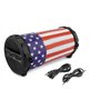 Caliber Haut Parleur Bluetooth - Enceinte sans Fil - USB, SD et AUX - Radio FM - Courroie de Transport - Noir - Autonomie 16h