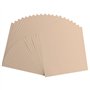 Beige (Parchemin)
