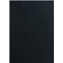 PAVO Boîte de 100 Plats de couverture A3 grain cuir 250 g Noir