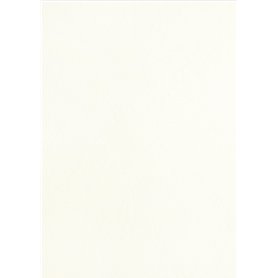 PAVO Boîte de 100 Plats de couvertures A3 grain cuir 250 g Blanc