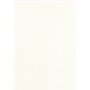 PAVO Boîte de 100 Plats de couvertures A3 grain cuir 250 g Blanc