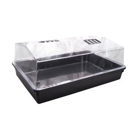 HYDROCHRONO Serre Rigide Propagator : 55.5x35.5X 22cm