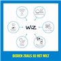 WiZ ampoule LED Connectée Wi-Fi Globe E27, Nuances de Blanc, équivalent 75W, 1055 lumen, fonctionne avec Alexa, Google Assistant