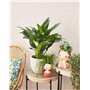 Mica Decorations Carrie Pot de fleurs terre cuite rond gris clair 32 x Ø 35 cm - Pot de plante