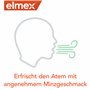 elmex Bain de bouche Protection contre les caries 6 x 400 ml – Nettoyage des dents antibactérien sans alcool protège efficacemen