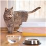 Noleza 36 Sacs pour Bac de Litière pour Chat 60 * 50 cm pour Bac à Litière de Moyennes Taille L