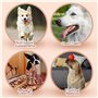 Nobleza - Friandises pour Chien, Croustilles de Morue Roulées au Poulet, Snack de Dressage Premium, Naturelles pour Chiot/Moyen/