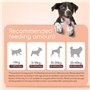 Nobleza - Friandises pour Chien, Croustilles de Morue Roulées au Poulet, Snack de Dressage Premium, Naturelles pour Chiot/Moyen/