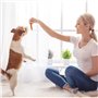 Nobleza - Friandises pour Chien, Croustilles de Morue Roulées au Poulet, Snack de Dressage Premium, Naturelles pour Chiot/Moyen/