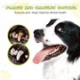 Nobleza - Set Brosse à Dents Et Dentifrice pour Chien, Kit Dentifrice Chien Anti Tartre, Les Chiens Améliore l'hygiène buccale C