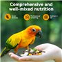 Alimentation pour Oiseaux Savoureuse et Saine(5