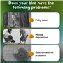 Nobleza - Nourriture pour Perruches, Graines pour Oiseaux de Qualité Supérieure, Alimentation pour Oiseaux Savoureuse et Saine(5