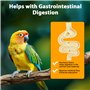 Nobleza - Nourriture pour Perruches, Graines pour Oiseaux de Qualité Supérieure, Alimentation pour Oiseaux Savoureuse et Saine(5