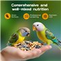 Nourriture pour Oiseaux S