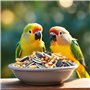 Nobleza - (900g) Nourriture Complète pour Inséparables, Nourriture pour Oiseaux de Qualité Supérieure, Nourriture pour Oiseaux S