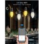 Aigostar Ampoule Connectée Alexa E27 4.5W Edison Ampoules Vintage WiFi C35 Ampoule Intelligent Retro, Compatible avec Alexa et G