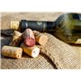 MAELSA® - Tire-bouchon forme T à spirale manche bois pour bouteille de vin à bouchon liège – Lot de 2 - Décapsuleur tirebouchon 