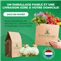 Amaryllis Bulbe Double Striped - 1 pièce fleurs en grand format 26/30 - Bulbe Amaryllis - Véritables plantes de Hollande - Hippe