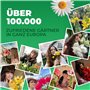 Glaïeuls Botanique Nanus Mix collection, 50 bulbes, mélange de bulbes de fleurs pour jardin et pots, mélange de 7 couleurs et va