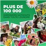 Glaïeuls Princes Margaret Rose - 10 bulbes de Hollande - véritables grands glaïeuls pour le jardin et les pots (Pas de graines, 