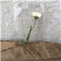 Fleurs pressées, ensemble de fleurs séchées, décors floraux, 10 pièces de fleurs pressées, belles collections de fleurs séchées,