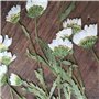 Fleurs pressées, ensemble de fleurs séchées, décors floraux, 10 pièces de fleurs pressées, belles collections de fleurs séchées,