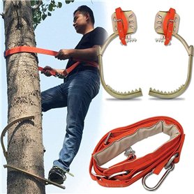 Grimper Arbre Artefact